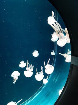 AOAO SAPPOROに投稿された画像（2023/8/15）