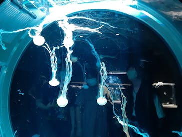 AOAO SAPPOROに投稿された画像（2023/8/15）