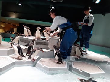 AOAO SAPPOROに投稿された画像（2023/8/15）