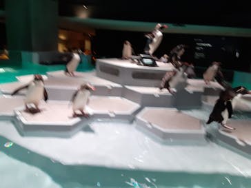 AOAO SAPPOROに投稿された画像（2023/8/15）