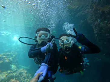 武藤潜水に投稿された画像（2023/8/15）