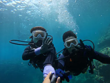 武藤潜水に投稿された画像（2023/8/15）