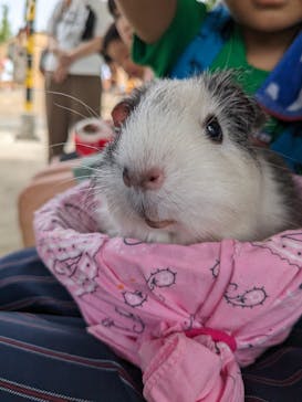 姫路セントラルパークに投稿された画像（2023/8/15）