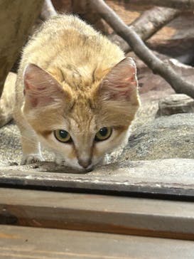 那須どうぶつ王国に投稿された画像（2023/8/15）