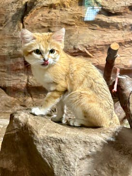 那須どうぶつ王国に投稿された画像（2023/8/15）