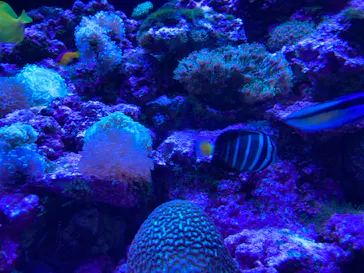 マクセル アクアパーク品川に投稿された画像（2023/8/15）