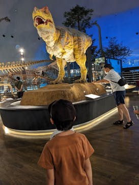 福井県立恐竜博物館に投稿された画像（2023/8/15）