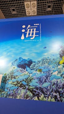 特別展「海　―生命のみなもと―」（国立科学博物館）に投稿された画像（2023/8/15）