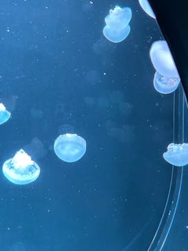 AOAO SAPPOROに投稿された画像（2023/8/15）