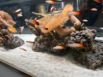 AOAO SAPPOROに投稿された画像（2023/8/15）