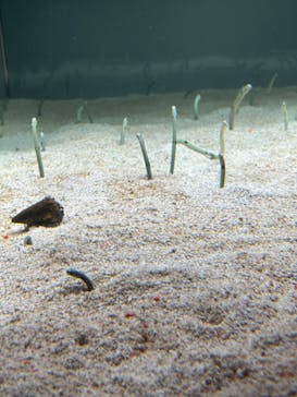 AOAO SAPPOROに投稿された画像（2023/8/15）