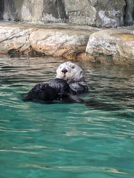 マリンワールド海の中道に投稿された画像（2023/8/15）