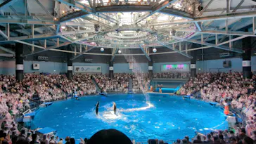 マクセル アクアパーク品川に投稿された画像（2023/8/15）