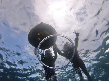 武藤潜水に投稿された画像（2023/8/15）