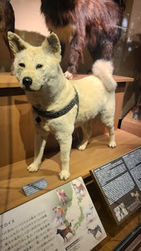 国立科学博物館に投稿された画像（2023/8/15）