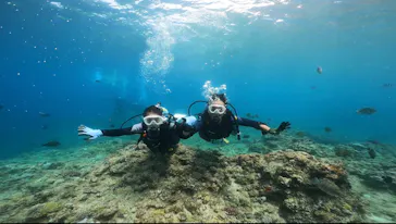 武藤潜水に投稿された画像（2023/8/15）
