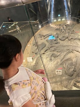 福井県立恐竜博物館に投稿された画像（2023/8/15）