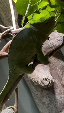 カワスイ 川崎⽔族館に投稿された画像（2023/8/15）