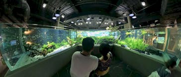 カワスイ 川崎⽔族館に投稿された画像（2023/8/15）