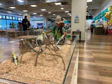 いきもの探検隊湘南に投稿された画像（2023/8/15）