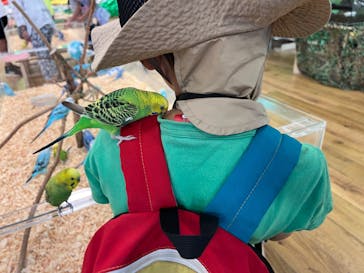 いきもの探検隊湘南に投稿された画像（2023/8/15）