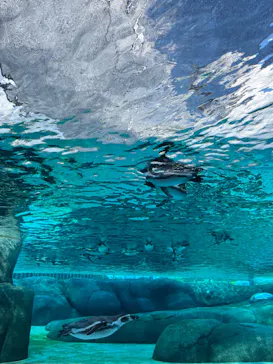 天王寺動物園に投稿された画像（2023/8/15）