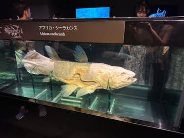 環境水族館アクアマリンふくしまに投稿された画像（2023/8/15）