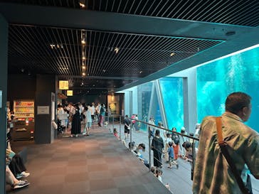 環境水族館アクアマリンふくしまに投稿された画像（2023/8/15）