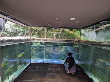 カワスイ 川崎⽔族館に投稿された画像（2023/8/15）