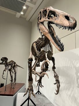 大阪市立自然史博物館に投稿された画像（2023/8/15）