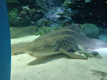 マクセル アクアパーク品川に投稿された画像（2023/8/15）