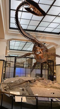 国立科学博物館に投稿された画像（2023/8/15）