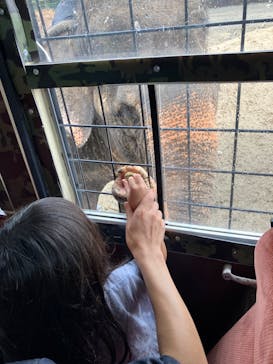 那須サファリパークに投稿された画像（2023/8/15）