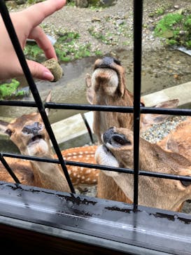 那須サファリパークに投稿された画像（2023/8/15）