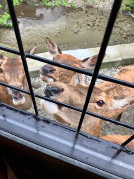 那須サファリパークに投稿された画像（2023/8/15）