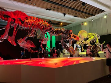 DinoScience 恐竜科学博 2023@TOKYO MIDTOWNに投稿された画像（2023/8/15）