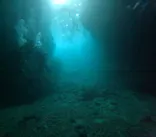 武藤潜水に投稿された画像（2023/8/15）