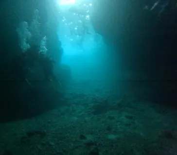 武藤潜水に投稿された画像（2023/8/15）