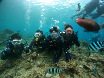 武藤潜水に投稿された画像（2023/8/15）