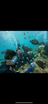 武藤潜水に投稿された画像（2023/8/15）