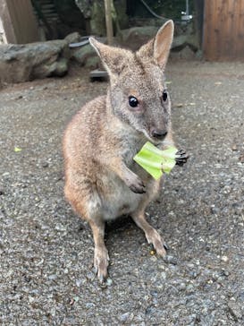 伊豆シャボテン動物公園に投稿された画像（2023/8/15）