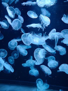 AOAO SAPPOROに投稿された画像（2023/8/15）