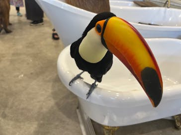 アニタッチみなとみらいに投稿された画像（2023/8/15）