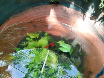 環境水族館アクアマリンふくしまに投稿された画像（2023/8/15）