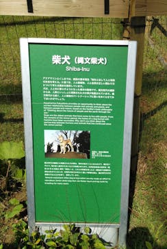 環境水族館アクアマリンふくしまに投稿された画像（2023/8/15）