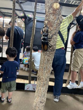 JOYPOLIS 特別イベントスペースに投稿された画像（2023/8/15）