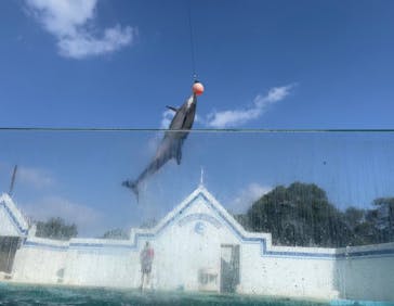 しながわ水族館に投稿された画像（2023/8/15）