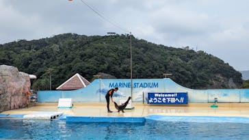 下田海中水族館に投稿された画像（2023/8/15）