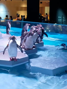 AOAO SAPPOROに投稿された画像（2023/8/15）