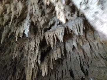 おきなわワールドに投稿された画像（2023/8/15）